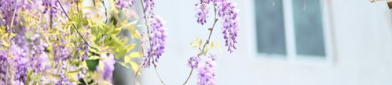 写春天的句子优美段落,描绘春天的优美句子与段落概览