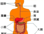 笑话幽默轻松一刻,轻松一刻，幽默笑话集锦