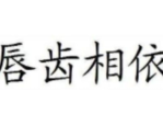 唇齿相依造句,描绘紧密关系的生动例句