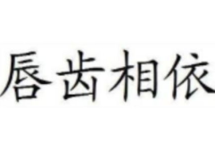 唇齿相依小说,命运交织的生死恋曲