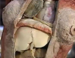 小姐姐钓大青鱼视频,小姐姐的精彩垂钓瞬间