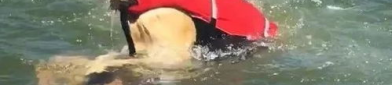 小姐姐游泳憋气差点死了,小姐姐游泳憋气险丧命