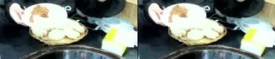 小姐姐吃排骨豆角视频,小姐姐现场烹饪排骨豆角，色香味俱全！