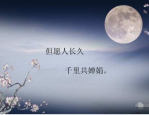 功能性消化不良症状,常见症状与自我管理指南”