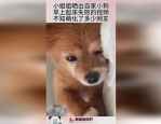 小姐姐钓大青鱼视频,小姐姐的精彩垂钓瞬间