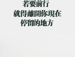 全部导航传统八卦图