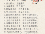 渣男全屏专用壁纸