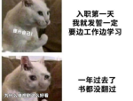 满级搞笑图片大全,满级搞笑图片大全精选集锦