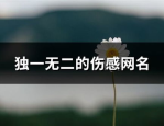 独一无二的好听网名,独特韵味，彰显个性