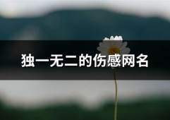 独一无二的好听网名,独特韵味，彰显个性